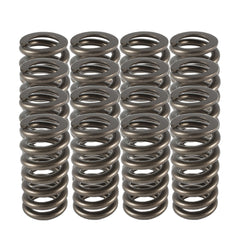 1.025 Valve Spring - Ovate Beehive
