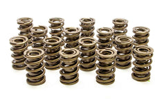 1.550 Dual Valve Spring
