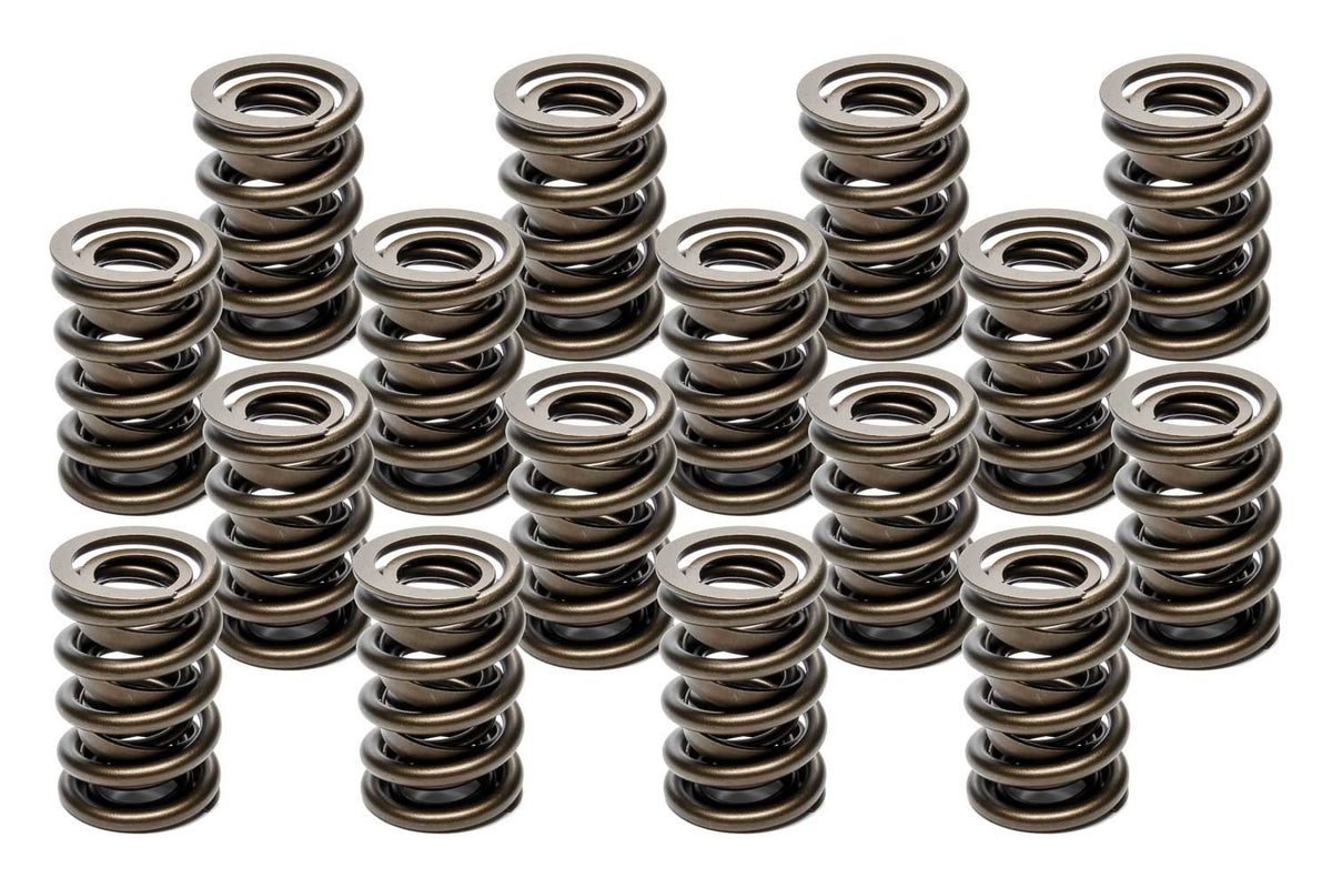 Valve Spring - HR Series (1) 1.555 Dual