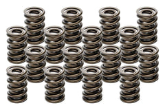 Valve Spring - HR Series (1) 1.555 Dual